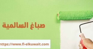 صباغ السالمية