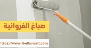 صباغ الفروانية