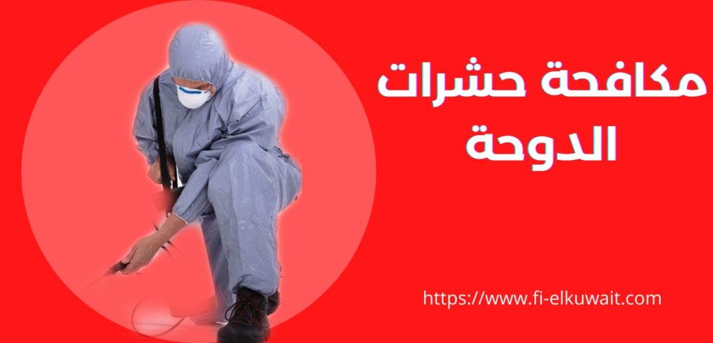 مكافحة حشرات الدوحة 